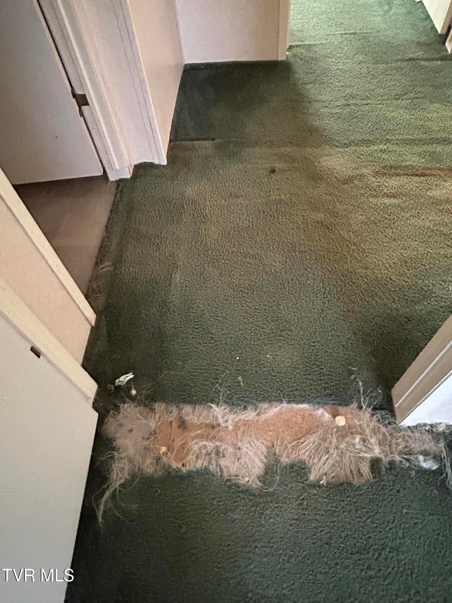 Photo #38: 1861 Corby Bridge Road