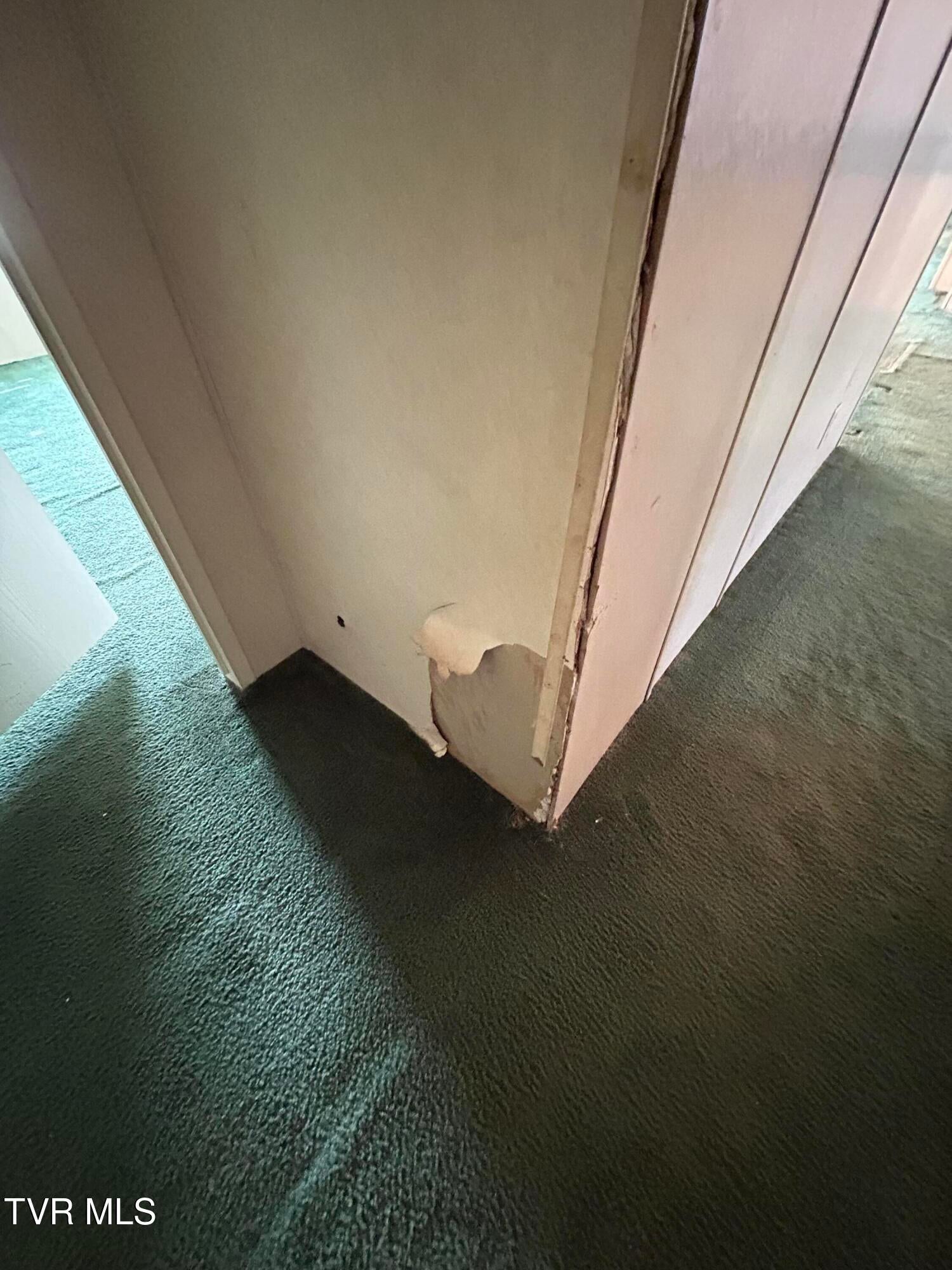 Photo #39: 1861 Corby Bridge Road