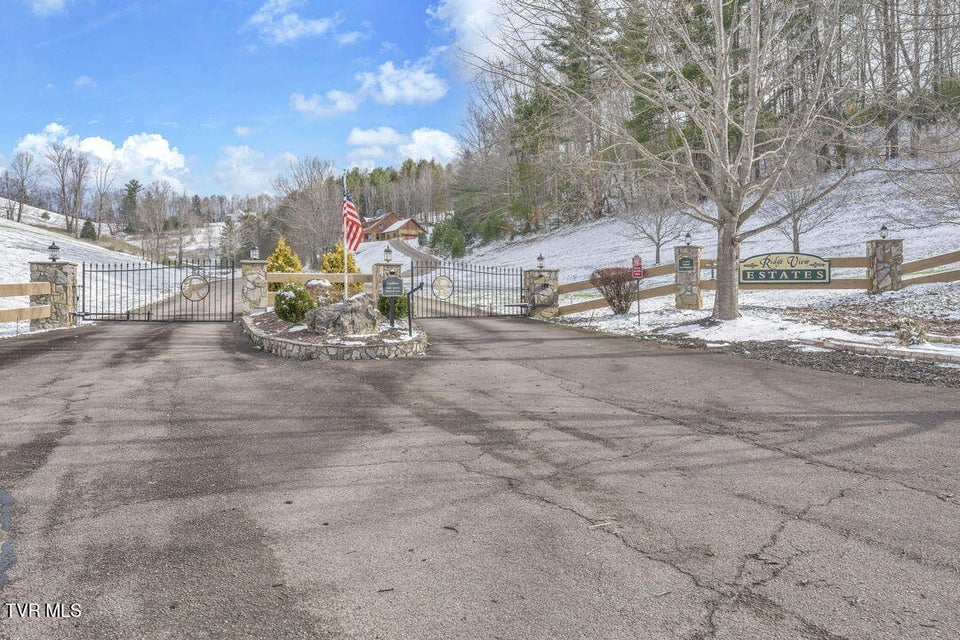 Photo #44: 550 Ridgeview Drive