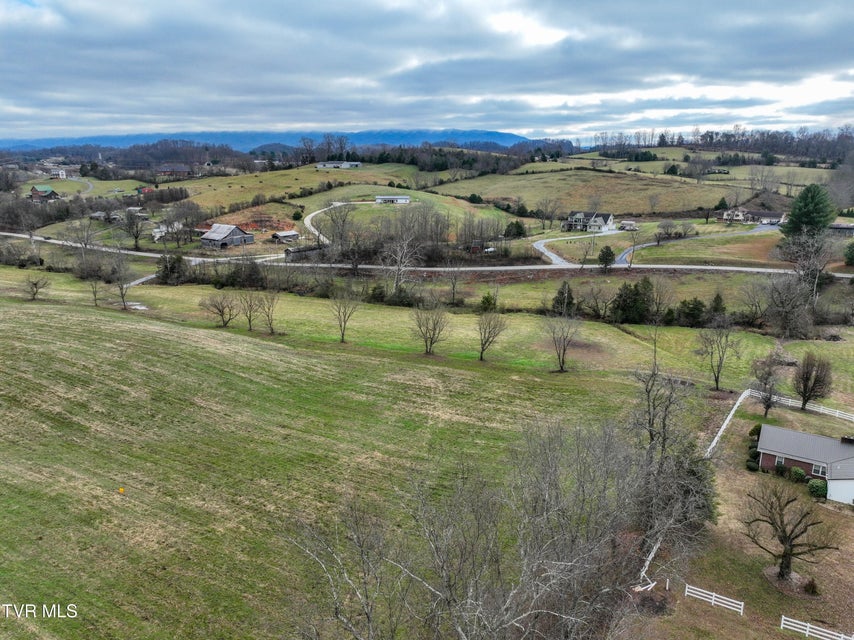 Photo #11: Lot 1 Weaver Branch Rd 
