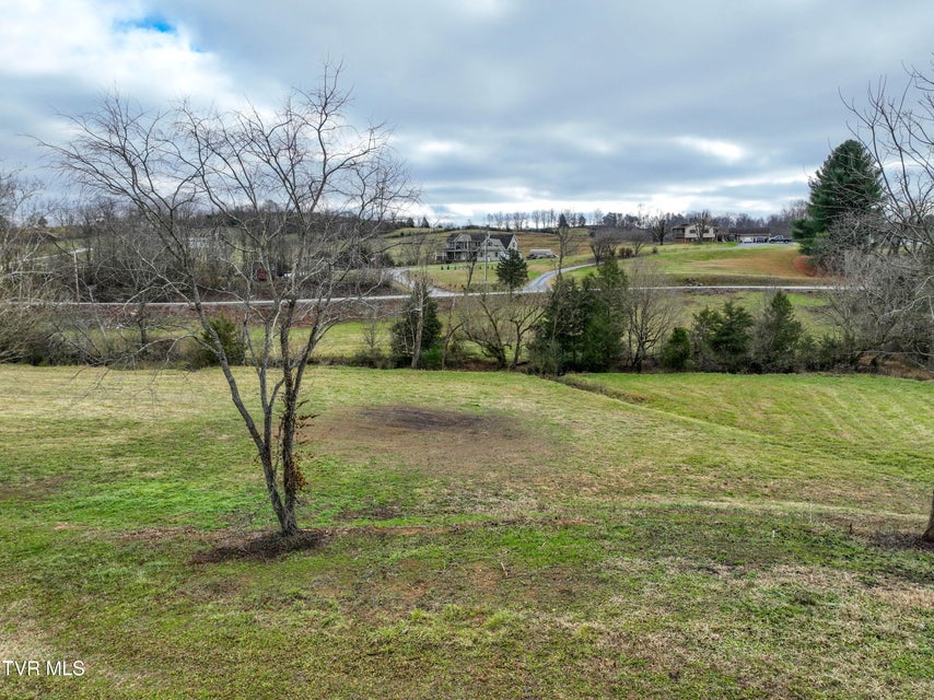 Photo #21: Lot 1 Weaver Branch Rd 