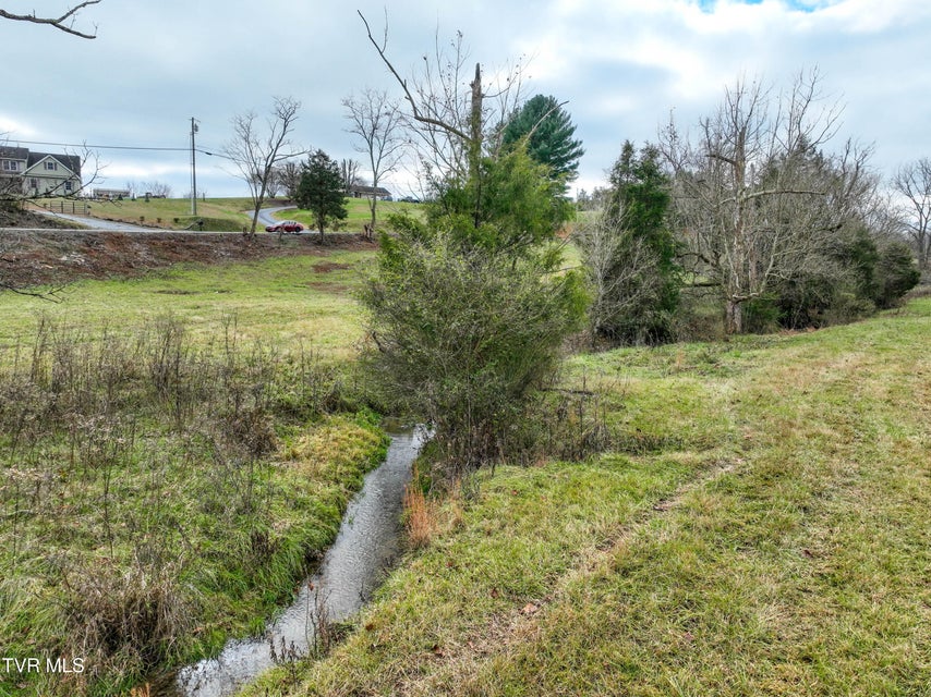 Photo #25: Lot 1 Weaver Branch Rd 