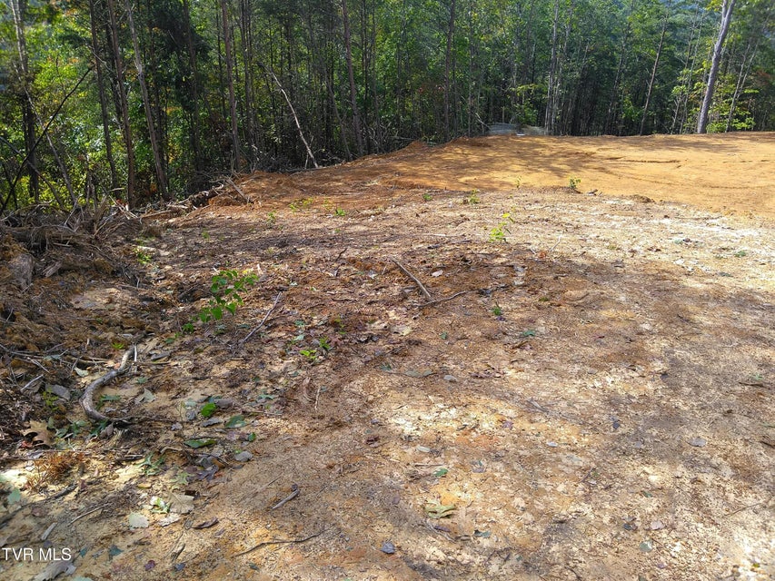 Photo #2: 371 Pressmens Home Road