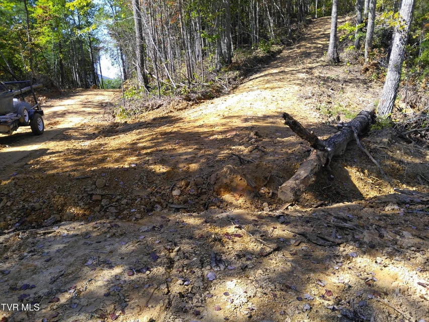 Photo #6: 371 Pressmens Home Road