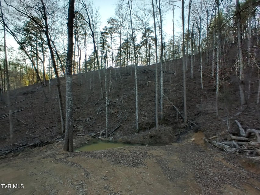 Photo #18: 371 Pressmens Home Road