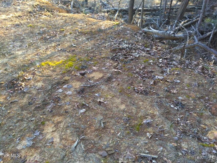 Photo #23: 371 Pressmens Home Road