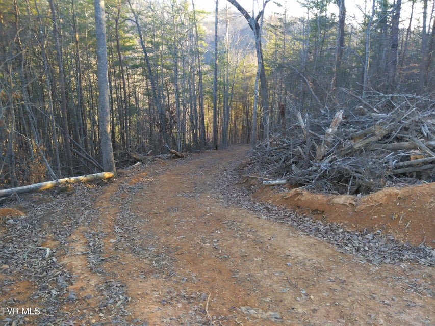 Photo #26: 371 Pressmens Home Road