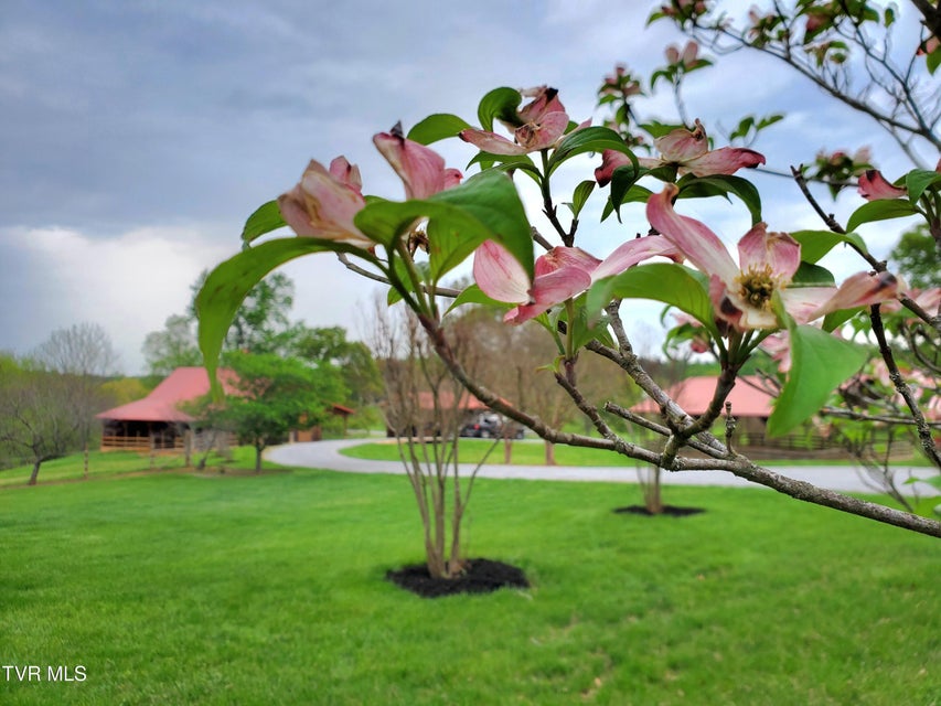 Photo #13: 1331 Bright Hope Road