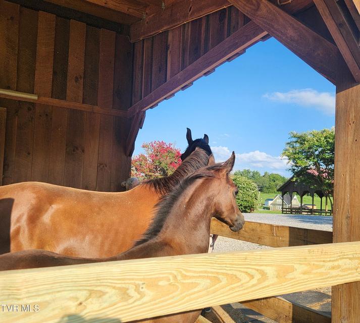 Photo #52: 1331 Bright Hope Road