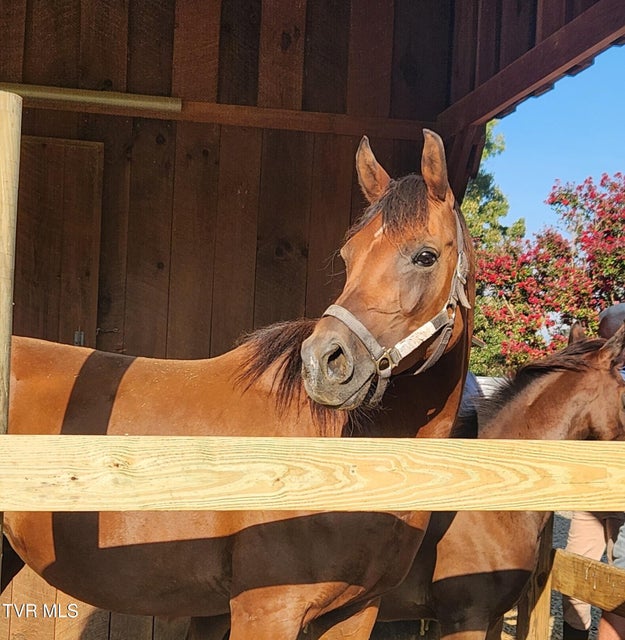 Photo #59: 1331 Bright Hope Road