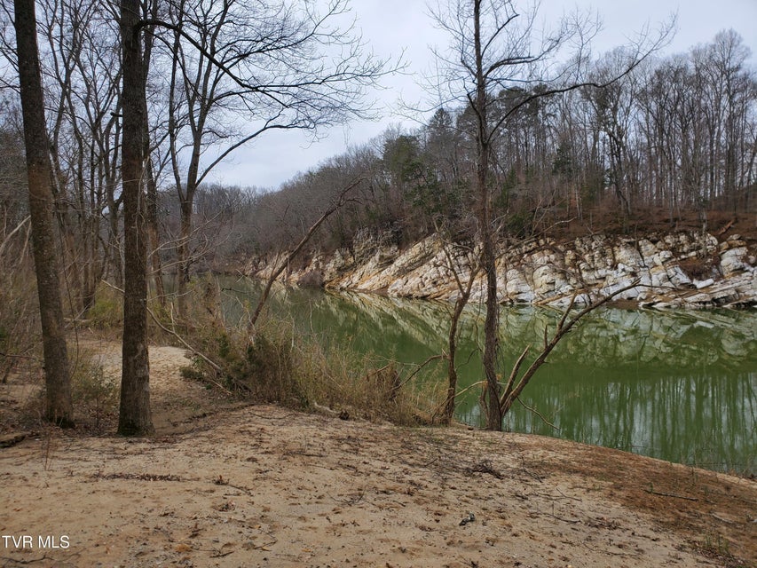 Photo #84: 1331 Bright Hope Road