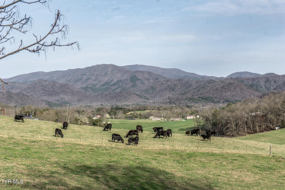 Photo #75: 645 Garrett Hill Road