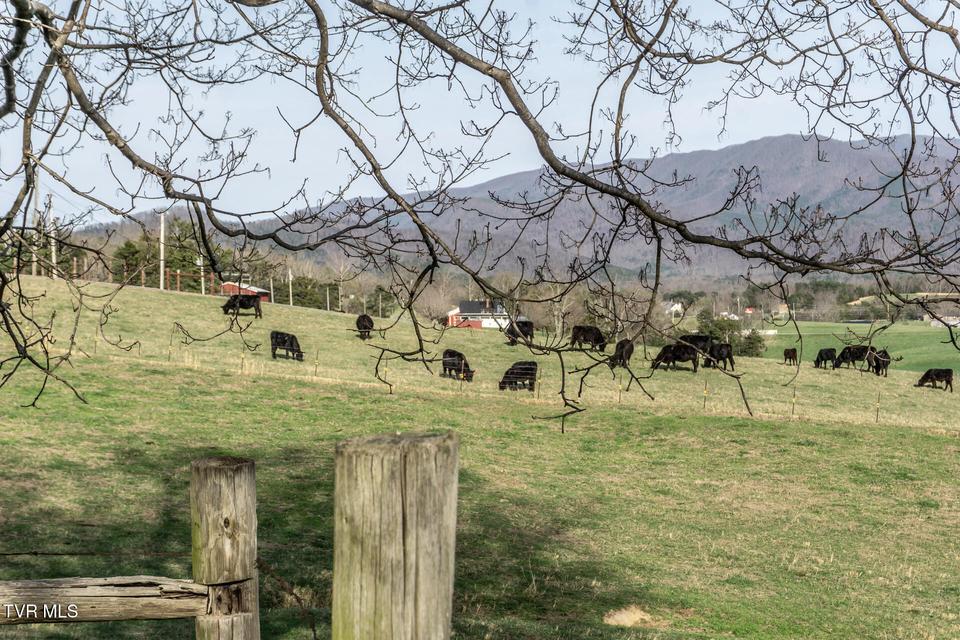 Photo #76: 645 Garrett Hill Road