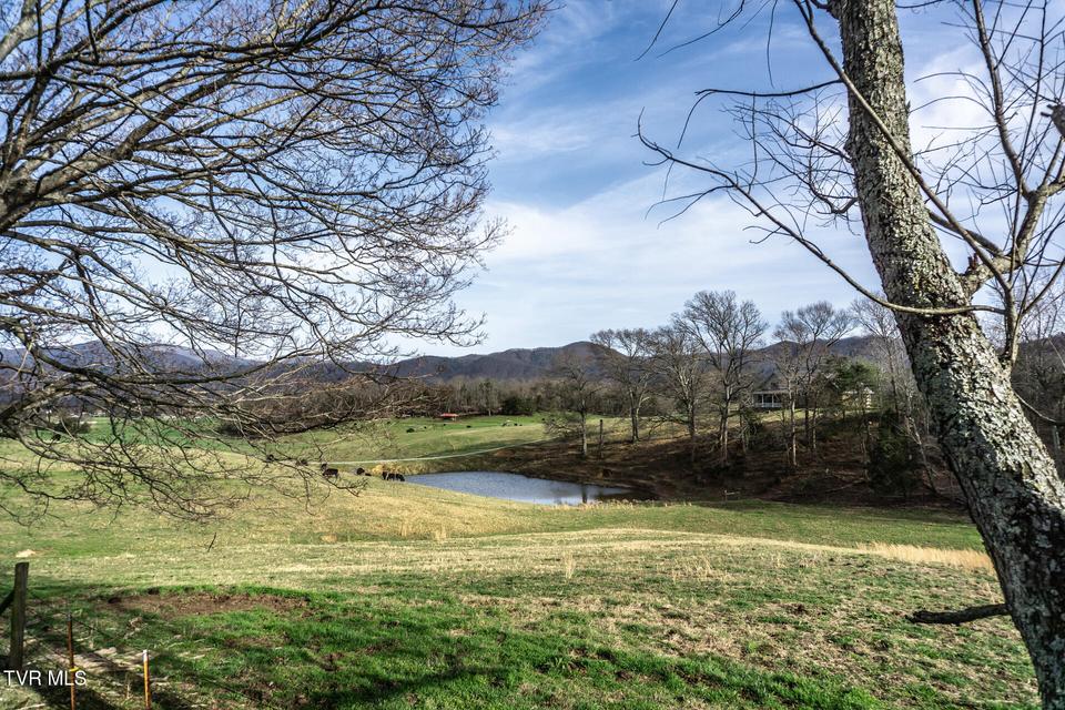 Photo #41: 645 Garrett Hill Road