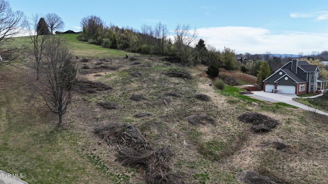 Photo #3: 209 Briarfield Drive