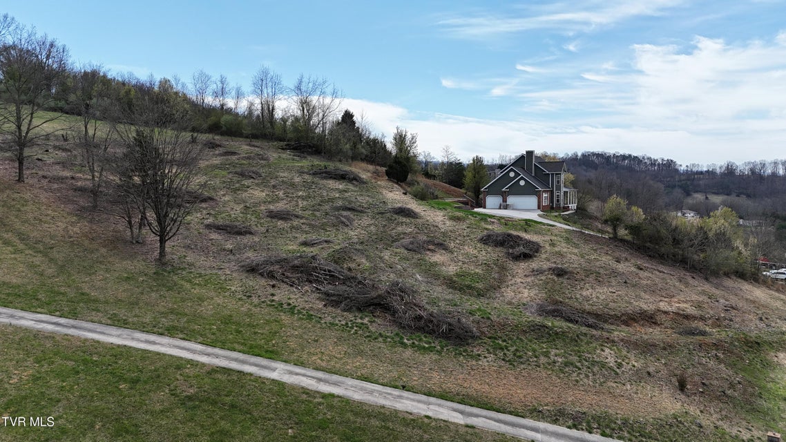 Photo #8: 209 Briarfield Drive
