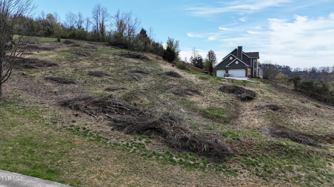 Photo #9: 209 Briarfield Drive
