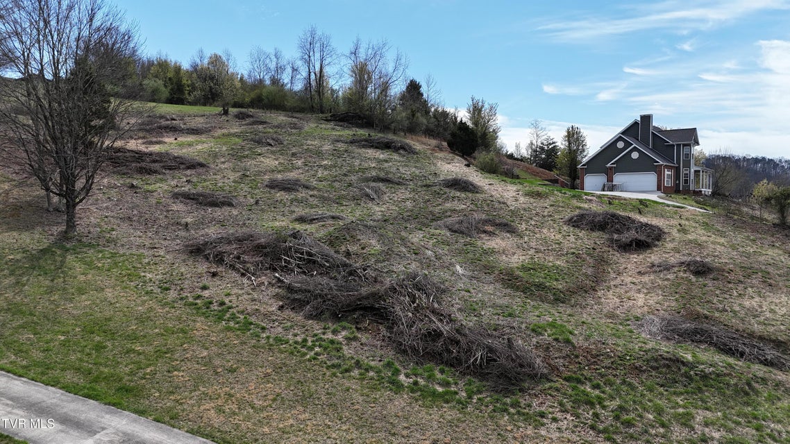 Photo #10: 209 Briarfield Drive