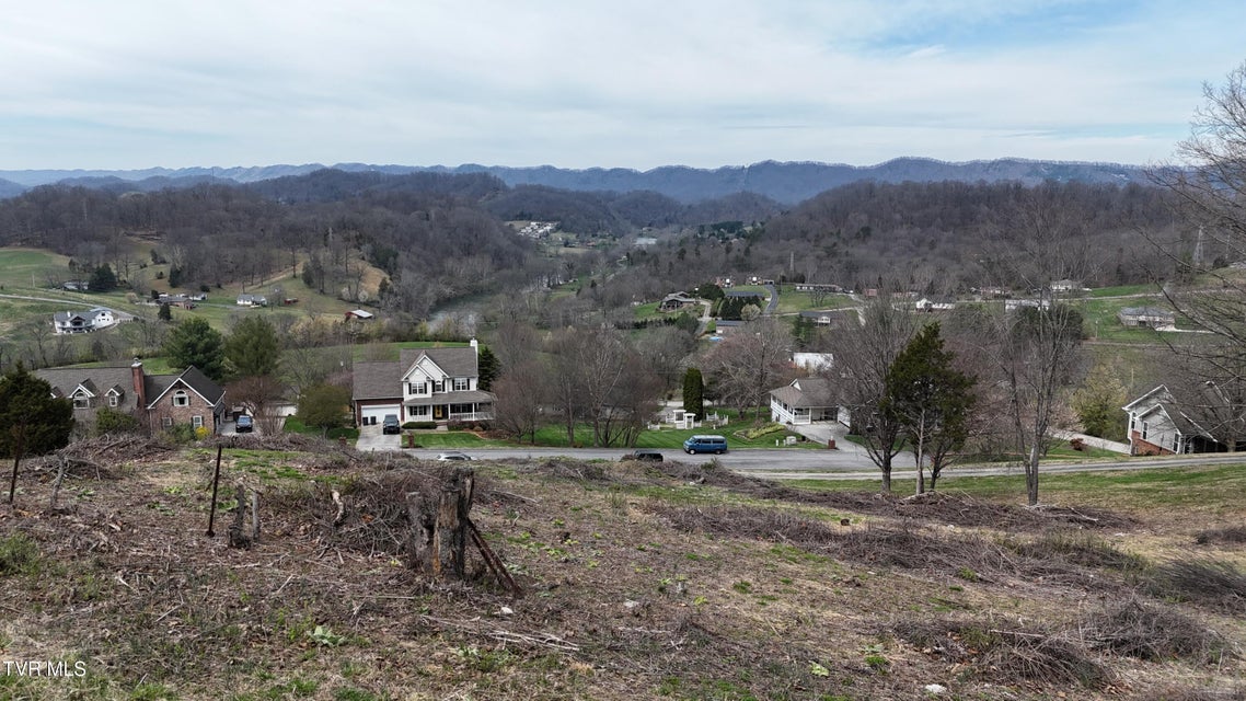 Photo #37: 209 Briarfield Drive