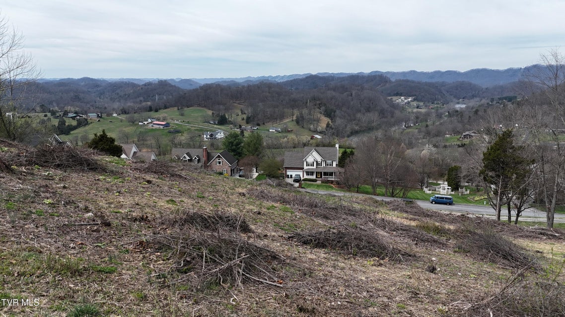 Photo #38: 209 Briarfield Drive