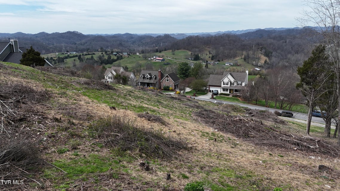Photo #40: 209 Briarfield Drive
