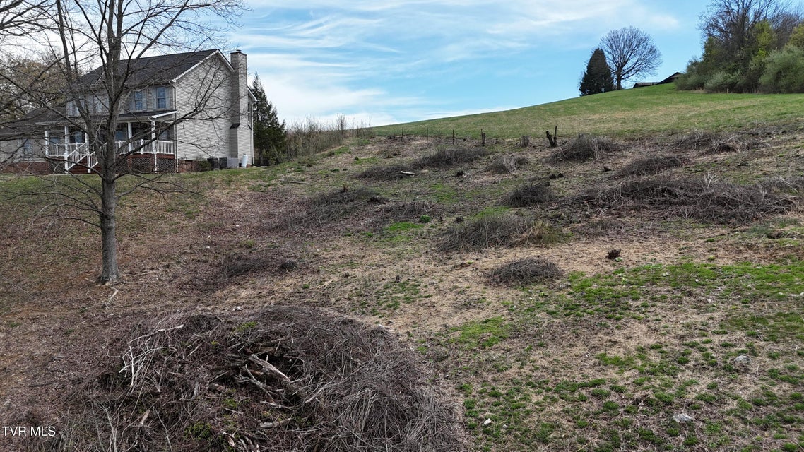 Photo #43: 209 Briarfield Drive