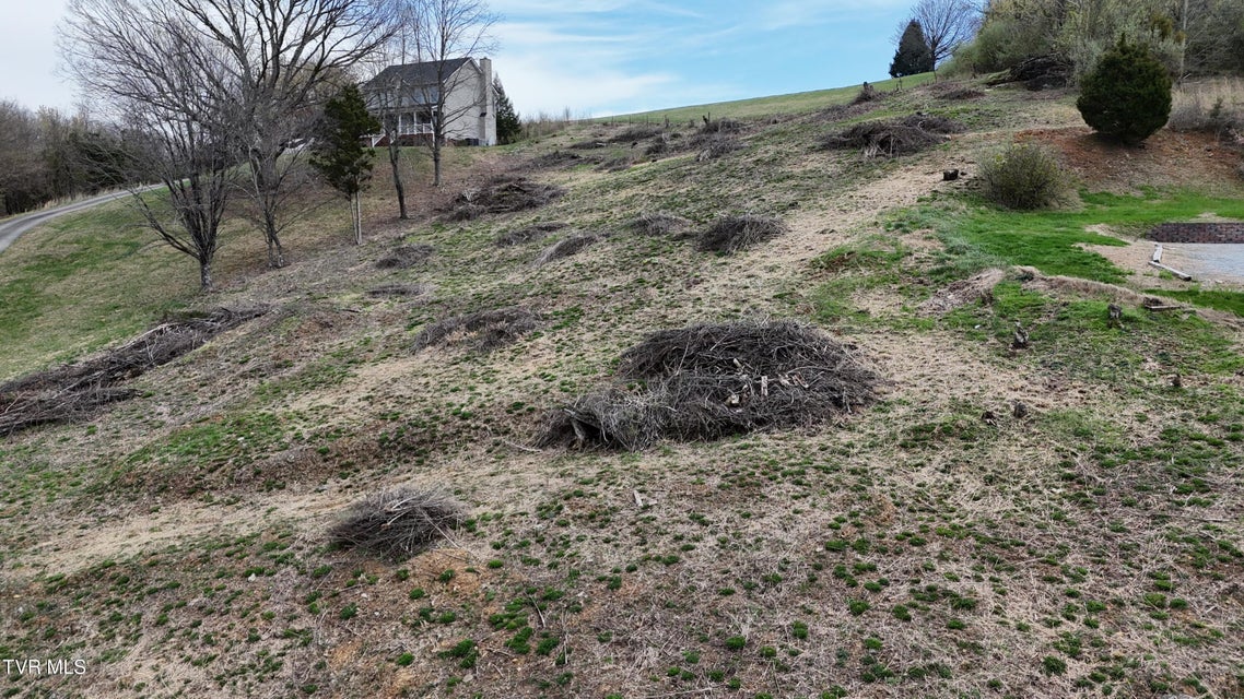 Photo #46: 209 Briarfield Drive