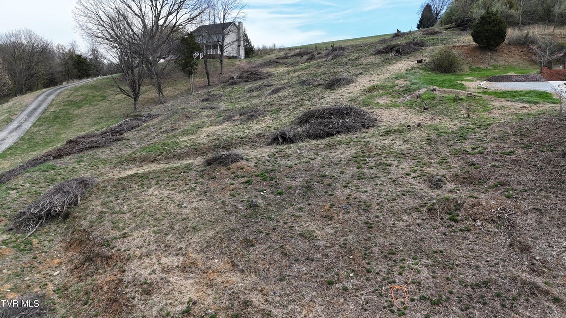 Photo #48: 209 Briarfield Drive