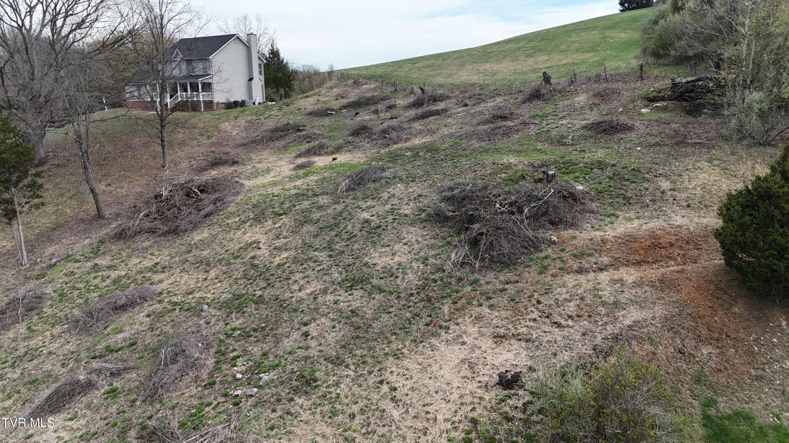 Photo #50: 209 Briarfield Drive