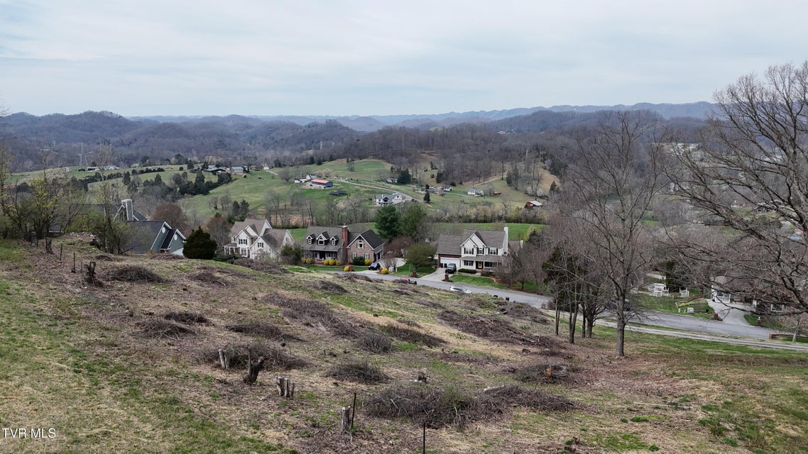 Photo #52: 209 Briarfield Drive