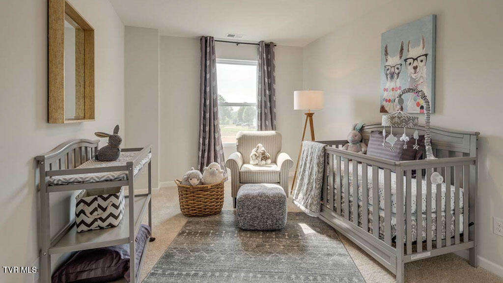 Photo #13: 281 Chimney View Loop 