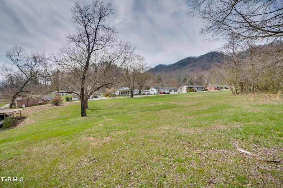 Photo #34: 156 Blanton Drive