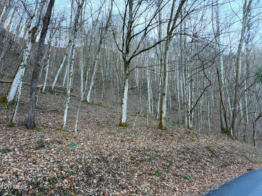 Photo #4: 14 Ac Horton Ford Road