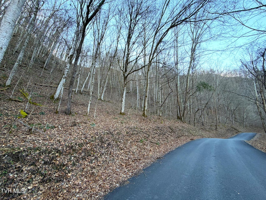 Photo #5: 14 Ac Horton Ford Road