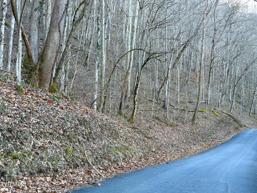 Photo #8: 14 Ac Horton Ford Road