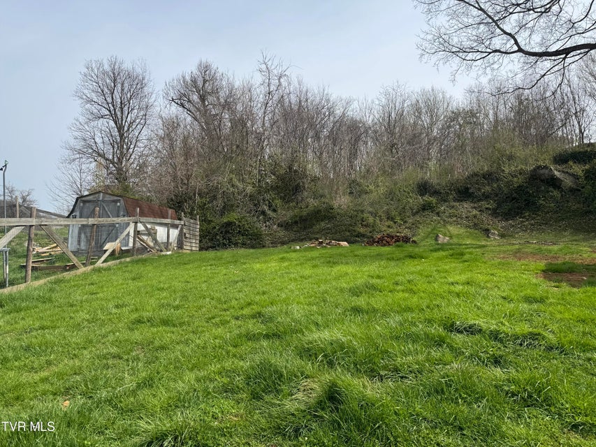 Photo #18: 1013 Siam Road