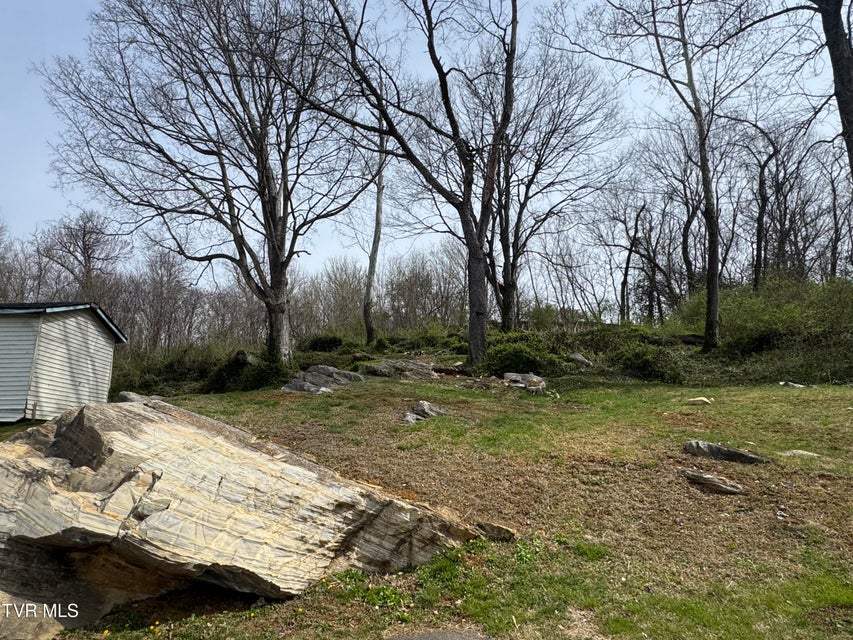 Photo #13: 1013 Siam Road