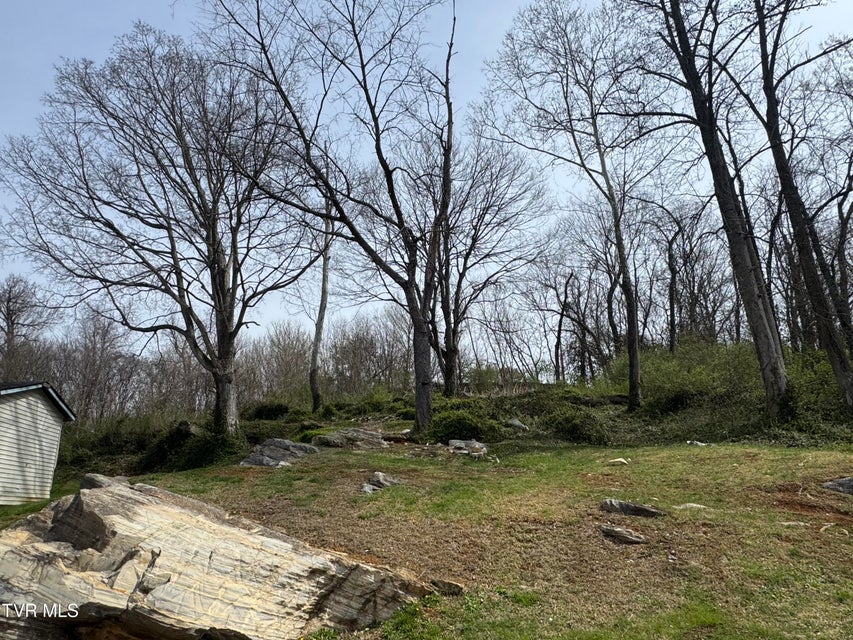 Photo #14: 1013 Siam Road