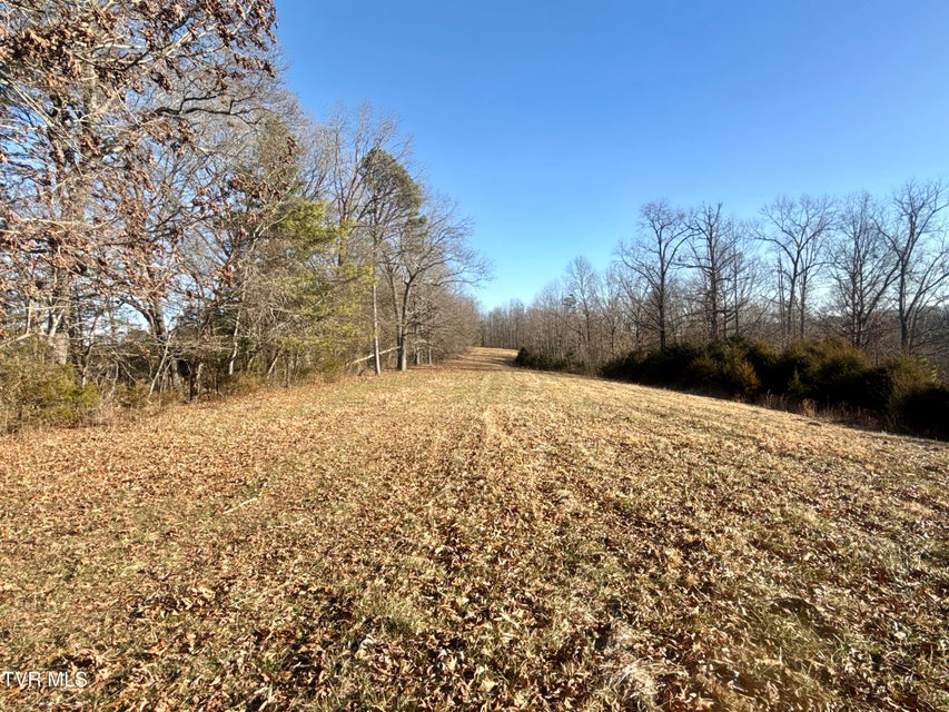 Photo #62: 6181 Poplar Springs Road