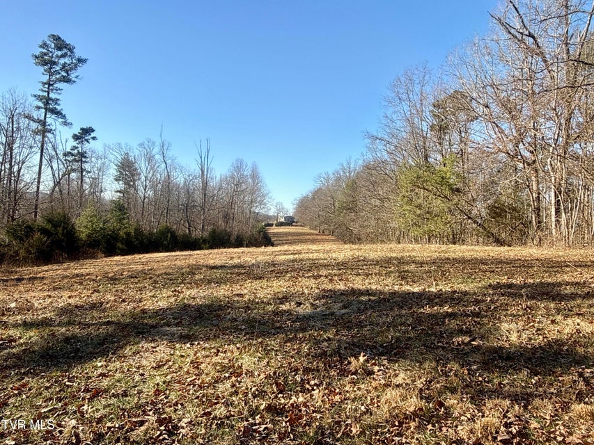 Photo #63: 6181 Poplar Springs Road