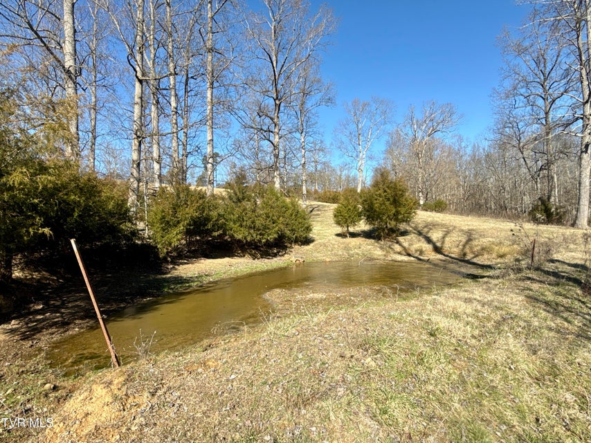 Photo #65: 6181 Poplar Springs Road