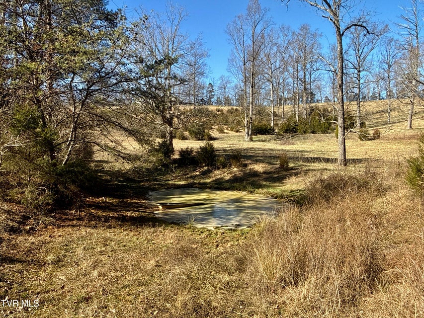 Photo #66: 6181 Poplar Springs Road