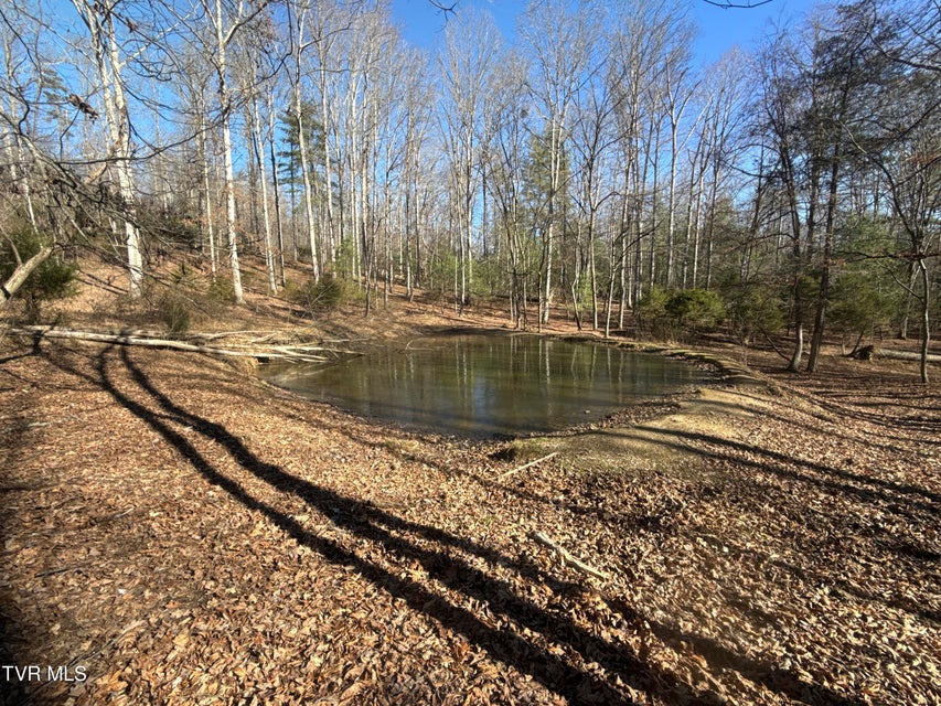 Photo #67: 6181 Poplar Springs Road