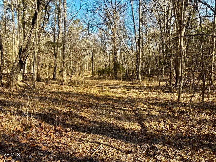 Photo #69: 6181 Poplar Springs Road