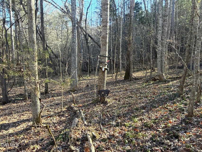 Photo #70: 6181 Poplar Springs Road