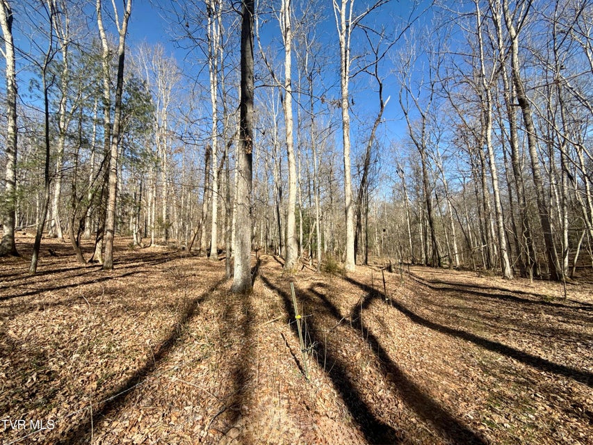 Photo #71: 6181 Poplar Springs Road