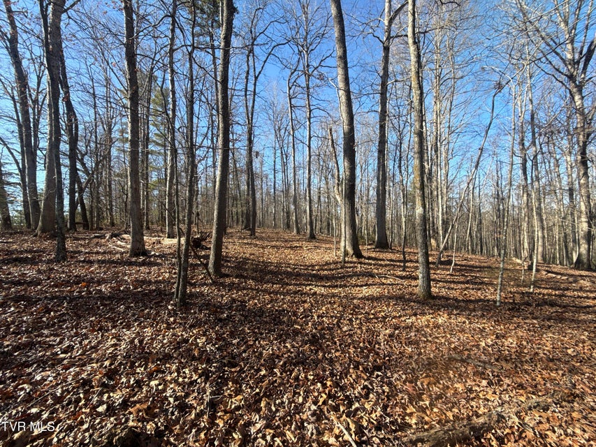 Photo #72: 6181 Poplar Springs Road