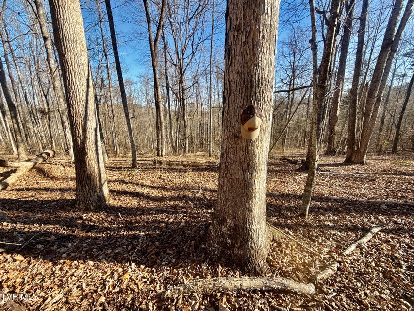 Photo #73: 6181 Poplar Springs Road