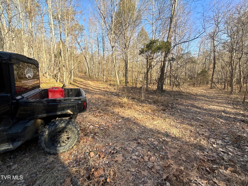 Photo #74: 6181 Poplar Springs Road