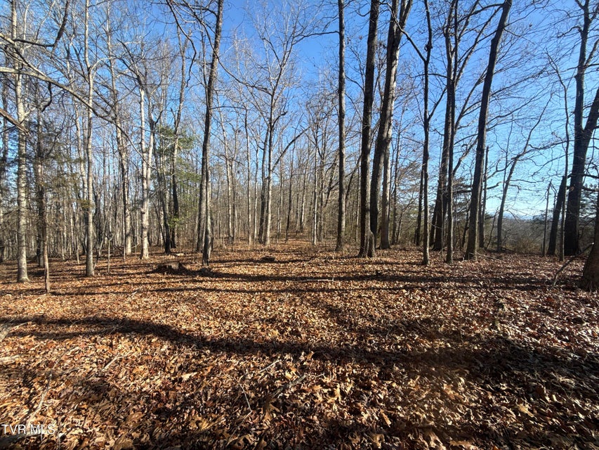 Photo #75: 6181 Poplar Springs Road